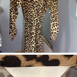 H&M Leopard Print Maxi Dress